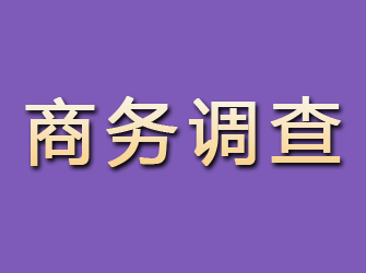 阳高商务调查